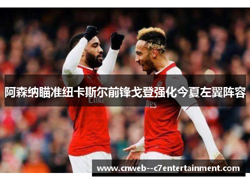 阿森纳瞄准纽卡斯尔前锋戈登强化今夏左翼阵容