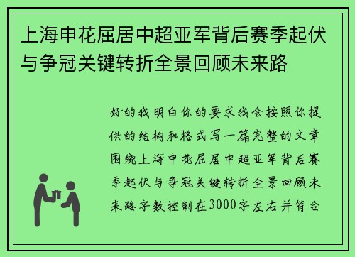 上海申花屈居中超亚军背后赛季起伏与争冠关键转折全景回顾未来路